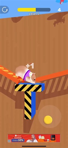 Hamster Maze Game Lv.5