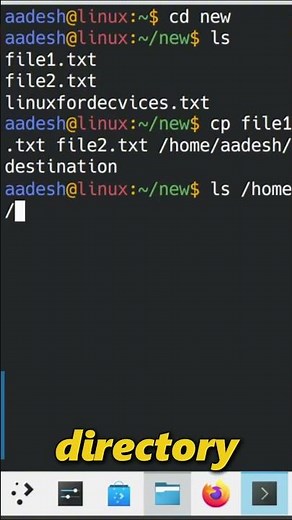 Copying files from the Linux terminal!