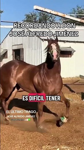 recordando a don José Alfredo Jiménez con esta linda canción 🎶 el último trago #josealfredojimenez