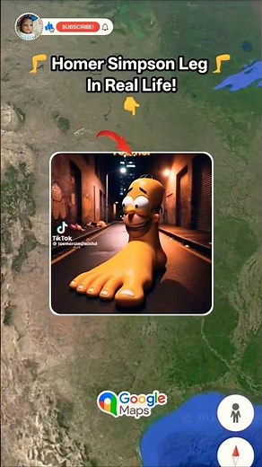 Homer Simpson Creepy Legs Found On Google Maps #earth #maps
