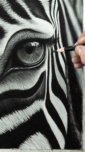 ALI HAIDER REHMAN on Instagram: "Fast Forward Zebra Drawing ⏩ Tags: #artbyalihaider #alihaiderrehman #drawing #artgallery #sketching"