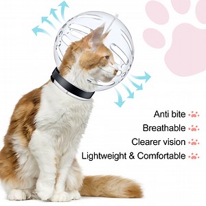 Watch WOWAMZ Cat Muzzle for Grooming on Amazon Live