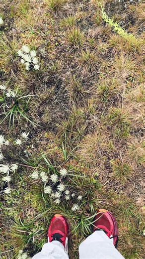 Menaklukkan Puncak Ketakutan di Gunung Gede