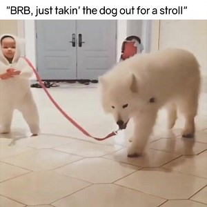 1.9K views · 112 reactions | Cuteness Level: Can't Handle  SHARE if your little one adores your dog! | CuddleBub | Facebook