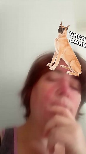 Vidéos de angélique (@angelique86dubois) avec son original - Re'Belle