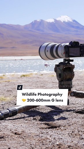 Sony Alpha on TikTok