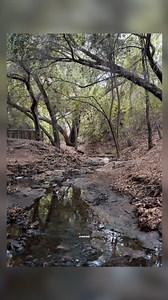 Optimizing Your Bright Landscape Photos