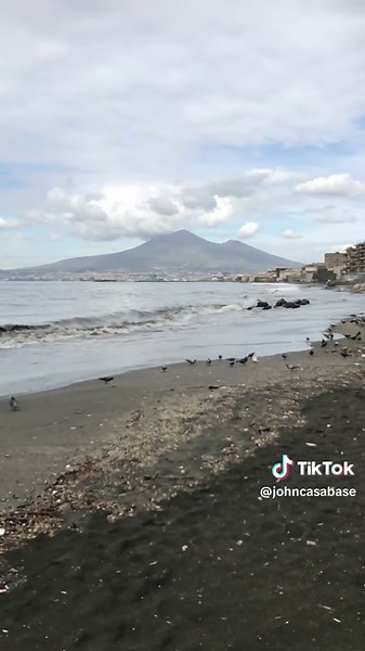 Video di Casabase (@johncasabase) con Bibi Shop - Jon Spadone