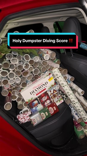 Incredible Dumpster Diving Haul at T.J. Maxx