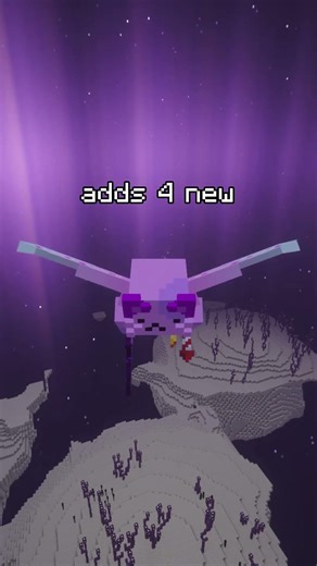 a good vanilla end update mod #minecraft