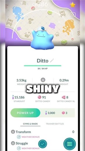 ✨️Chance for Shiny Ditto with background in Pokemon GO
