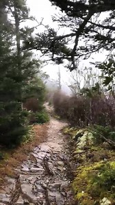 139K views · 1.2K reactions | High wind speeds up to 50-60 mph and...