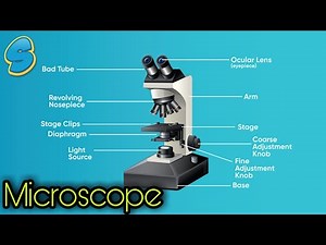 Microscope and its uses (በአማርኛ) Grade 7 Biology unit 2 Part 1