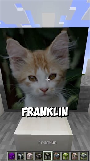 I'm Adding my Subscribers to Minecraft... 😱 #shorts p406