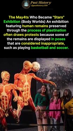 Life After Death: The Controversial Art of Body Worlds