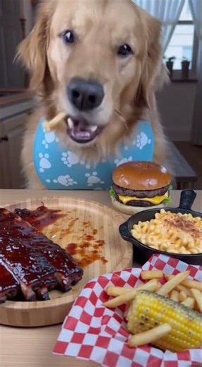 ASMR - INSANE Golden Retriever Mukbang! 🍔🐕 #mukbang #viral #dog