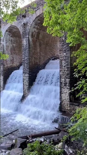 Cumberland Mountain State Park #shorts #travel #waterfall