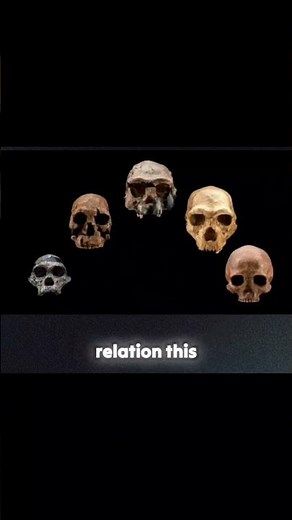 “We’re Not Alone: The 16 Human Species That Walked Earth” #rewritingextinction #fightingextinction