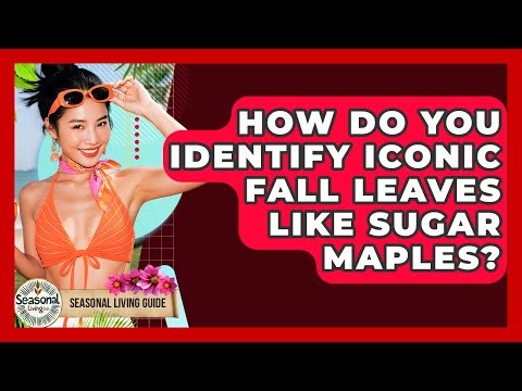 How Do You Identify Iconic Fall Leaves Like Sugar Maples? - Seasonal Living Guide