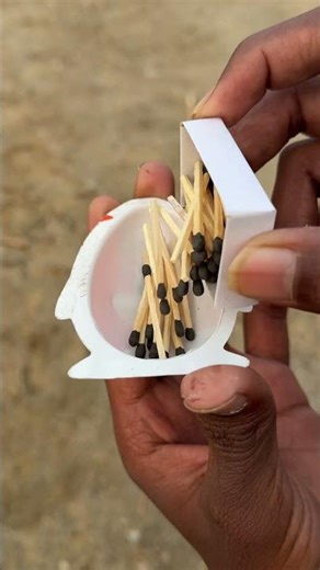 Jungle survival Matchbox Part 1