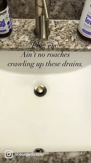 Facts: I’ve witnessed a tree roach crawl down someone’s bathroom draining system. •••••• I’ve always thought that arachnids can enter your home through draining systems. ••••••• Just like reptiles have entered individuals homes through commodes. •••••• I often see arachnids in tubs and sinks, so my assumptions have some justification. Meh. #plug #roaches #arachnids #insects #ants #bugs #pests #drain #bathroom #kitchen #preventive #preventivemeasures #preventative #tip #tips #hacks #kitchentip #k