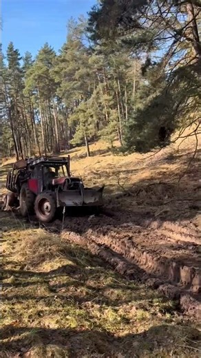 INSANE Forestry Tractor in Deep Mud 🌲🚜 #forestry #tractor #heavymachinery #logging #europe
