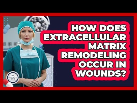How Does Extracellular Matrix Remodeling Occur In Wounds?