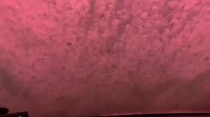 HAUNTED CAR WASH IN OHIO 🤡: Ghosts and goblins are keeping people company while their cars are scrubbed down and rinsed at this car wash. Would you go? http://bit.ly/2P27Ryi?utm_medium=social&utm_source=facebook_News_4_Tucson_-_KVOA | News 4 Tucson - KVOA
