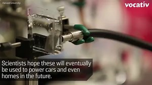 This bionic leaf can convert sunlight into fuel. http://voc.tv/1Ps26p5 | Vocativ