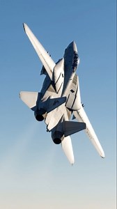 The F-14 Tomcat really was the greatest jet of its time! #f14 #f14tomcat #navy #militaryaviation | Aviation World