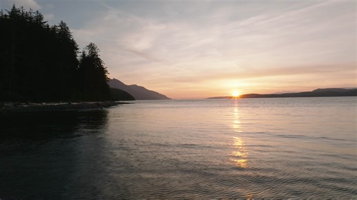 Wildcoast Adventures is your ticket to an unforgettable kayaking experience. Secure your spot now for 2026. | Wildcoast | Facebook