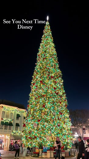 Magic Key Memories: A Fond Farewell to Disneyland