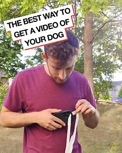 The face of the dog in slowmo 🥺😂 | Do It Yourself