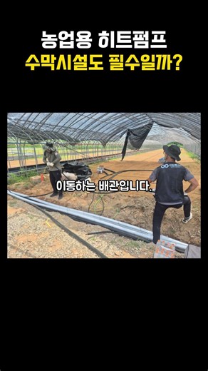 히트펌프 설치 시 하우스 수막도 설치해야 할까?? #히트펌프 #농업용히트펌프 #딸기농사 #신유에너지
