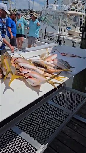 6.5K views · 178 reactions | THE FISHMONSTER MAX RETURNS TO KEY WEST....... #KEYWESTCHARTERBOAT #KEYWESTPARTYBOAT | FishMonster Key West | Facebook