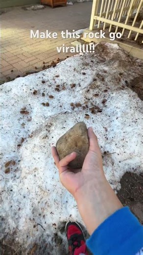 Make this rock go viral #funny #memes #rock #music