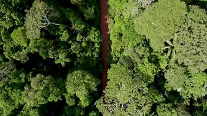 2.2K views · 35 reactions | Neu bei Netflix: Tales By Light, Staffel...