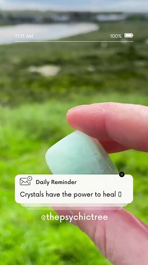Shop Crystals, Bath Bombs, Home Fragrance & More At The Psychic Tree | The Psychic Tree