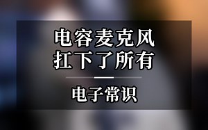 电容麦克风的工作原理