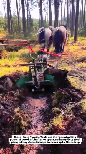 Horse Drawn Plow Tools Dig 40 cm Forest Drainage Trenches with Heavy-Duty Steel Plow