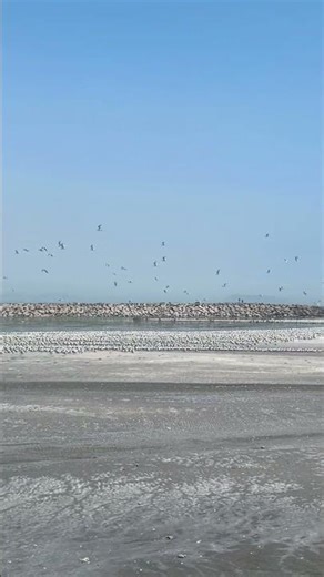 La punta 📍Callao -Perú