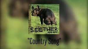 1.5K reactions · 161 shares | “We don’t allow ourselves to be pigeon-holed.” – Shaun talks “Country Song” in the latest #CountdownToSeether video. | Seether | Facebook