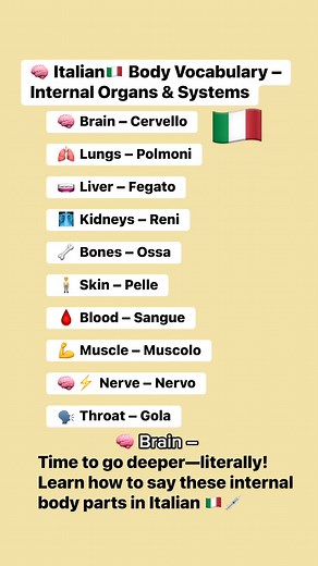 🇮🇹🧠 Italian Body Vocabulary – Internal Organs & SystemsTime to go deeper—literally! Learn how to say these internal body parts in Italian 🇮🇹💉📌 Save this list and tag a friend studying anatomy or learning Italian!🗣️ Say each one out loud to boost your pronunciation skills! | Piccolo Maestro