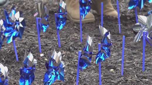 Davenport police mark Child Abuse Prevention Month with pinwheel garden