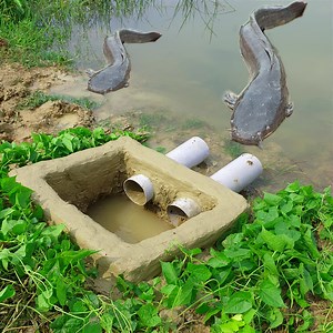82K views · 1.4K reactions | Best Fish Trap For Catching Catfish with PVC Pipe . Village Boy Catch Lots of catfish amazing Trapping System. Fisherman Animal Lover-Original #fish_catching_trap #fish_video #amazing_trap_video #best_fish_trap_2021 #fishing | Fisherman Animal Lover-Original | Facebook