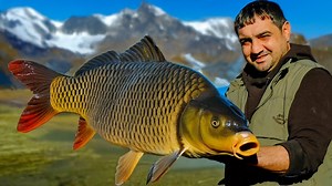 40K views · 597 reactions | Cooking a Giant Carp Over Open Fire | Fast Cooking | Facebook