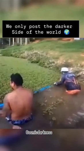 planet | Nature 🌍 | In Brazil, two men were clearing thick mats of tiny floating plants on a river when suddenly a massive arapaima leapt out of the water and... | Instagram