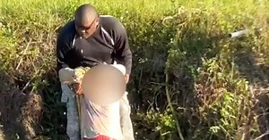 Florida motorist stranded in canal near alligator rescued after paraglider's emergency landing