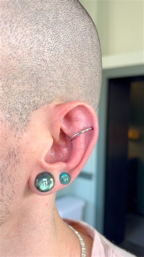 Dustin Schoelier • Maine Piercing on Instagram: "Alex is back; this time with a 12g conch-to-helix orbital. I cannot over state my appreciation for the amount of trust and support Alex (and Ethan 🫶) continue to show me. . @leroifinejewellery 🔩 . . . #piercing #bodypiercing #piercings #bodypiercings #ear #earpiercing #earpiercings #orbitalpiercing #earrings #bodymod #bodymods #bodymodification #bmezine #piercer #bodypiercer #safepiercing #appmember #jewelry #jewellery #bodyjewelry #professional