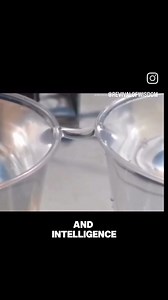 325K views · 3.7K reactions | What you seeing here is water memory....